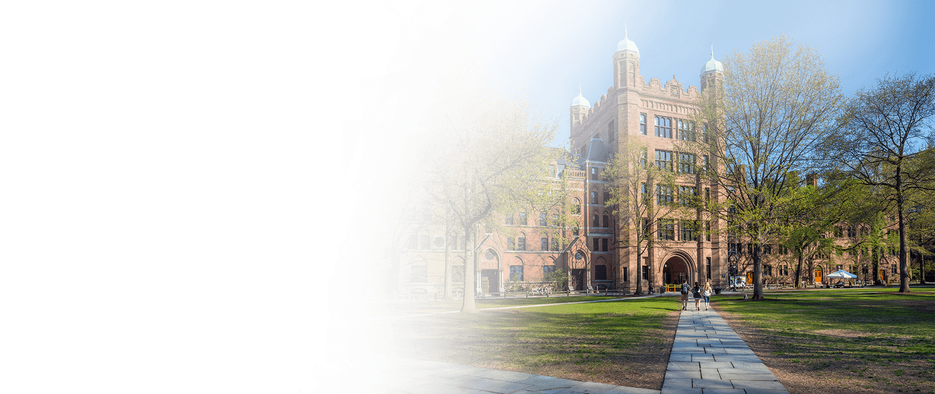 icturesque view of a university edifice amidst verdant landscapes, reflecting the serene and inspiring academic setting in the USA.